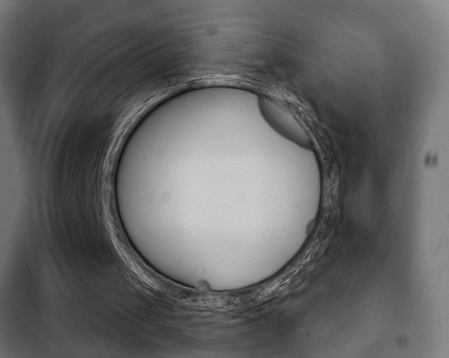 X0000102240049200807250847