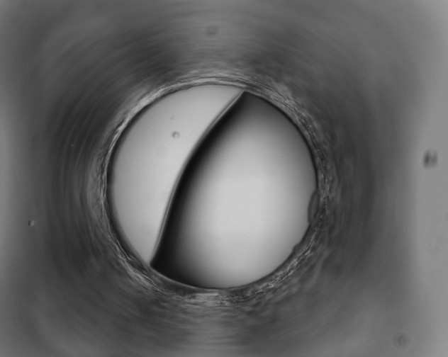 X0000102240050200807250847