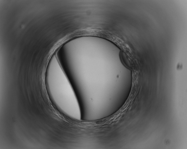 X0000102240051200807250847