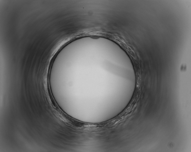 X0000102240052200807250847