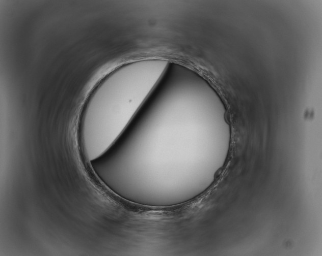 X0000102240054200807250847
