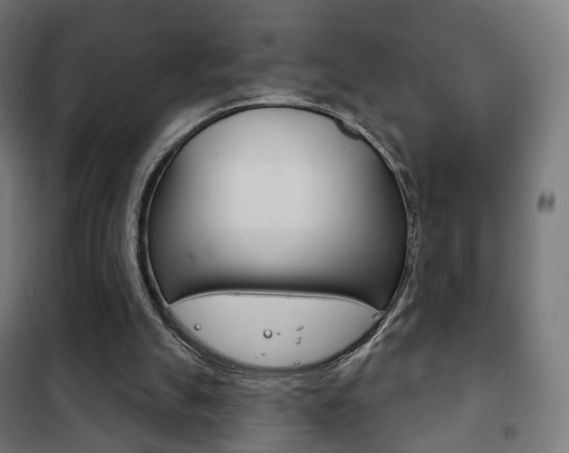 X0000102240055200807250847