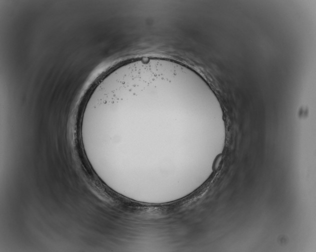 X0000102240056200807250847