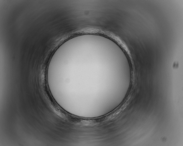 X0000102240057200807250847