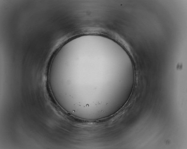 X0000102240059200807250847