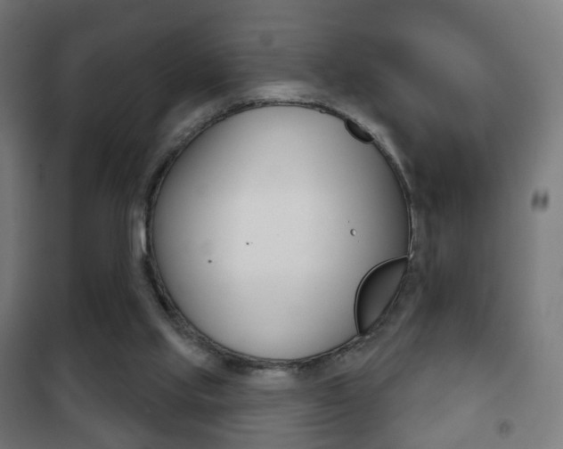 X0000102240061200807250847