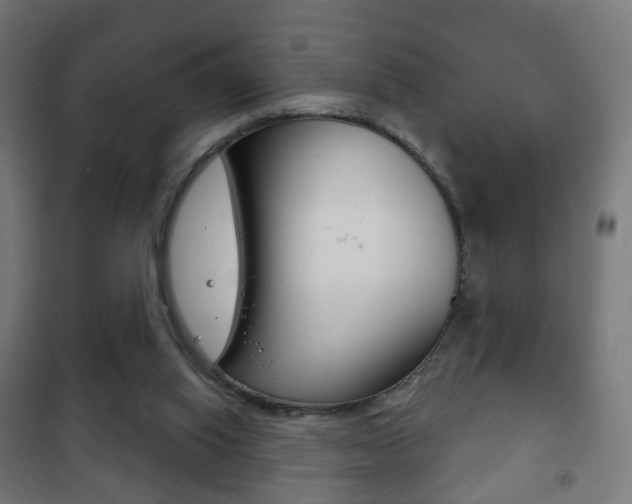 X0000102240062200807250847
