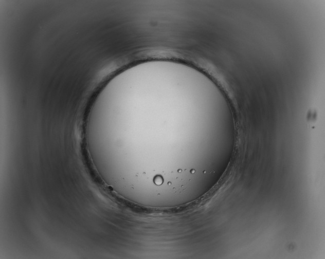 X0000102240063200807250847