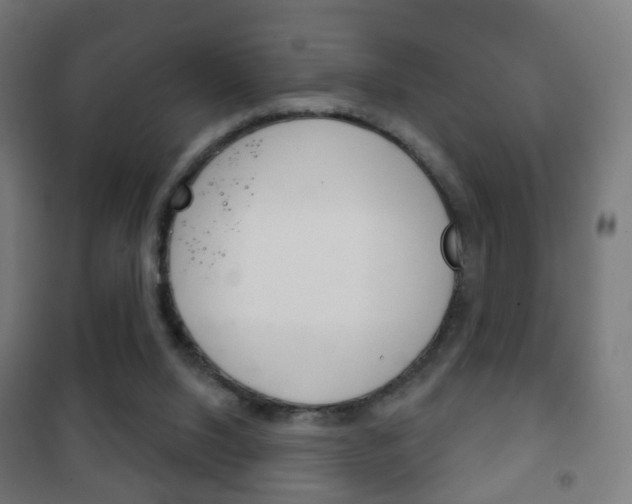 X0000102240064200807250847