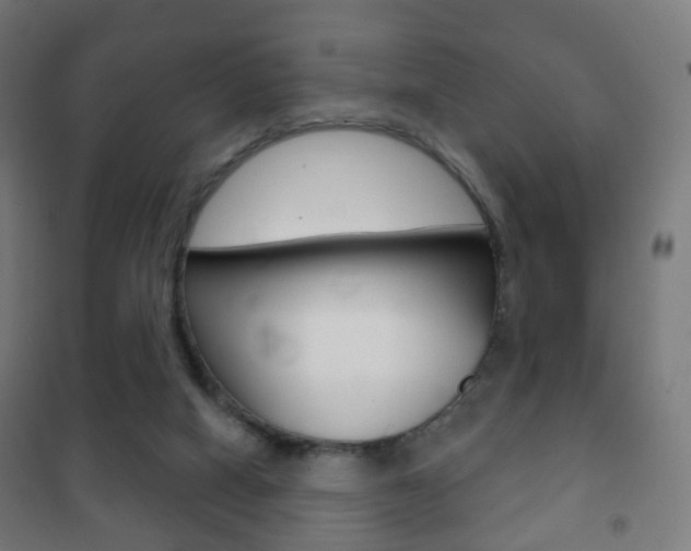 X0000102240066200807250847