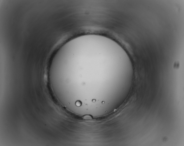 X0000102240067200807250847