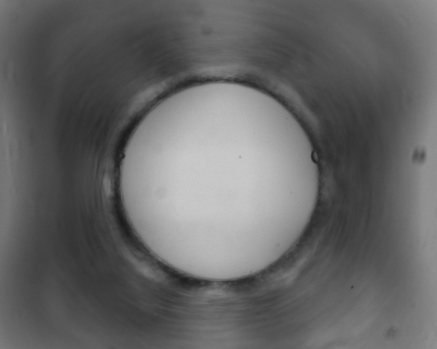 X0000102240068200807250847