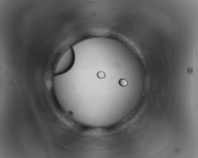 X0000102240069200807250847