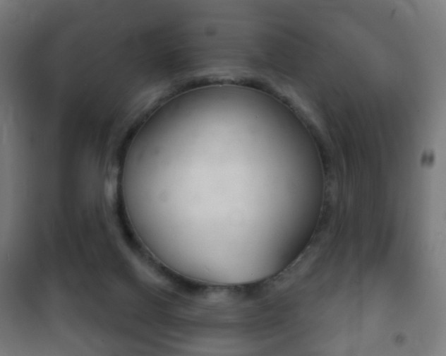 X0000102240070200807250847