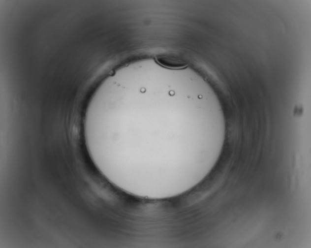 X0000102240072200807250847