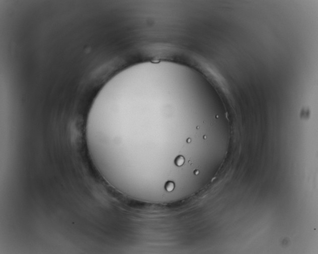 X0000102240073200807250847