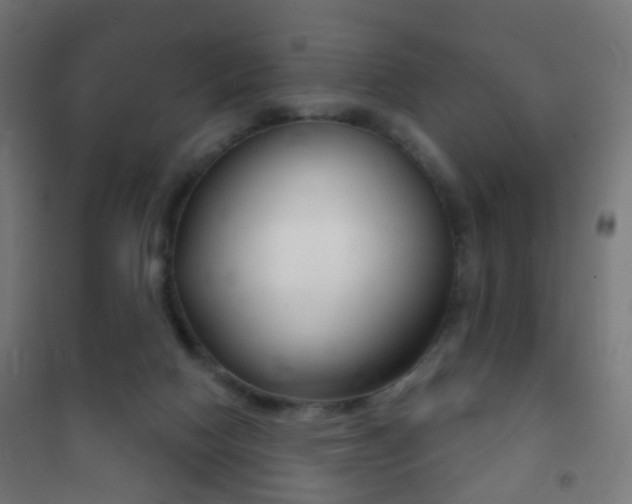 X0000102240074200807250847