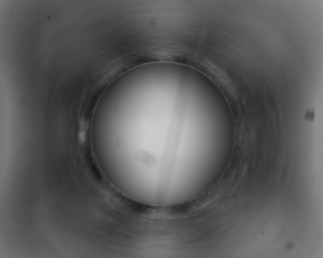 X0000102240075200807250847