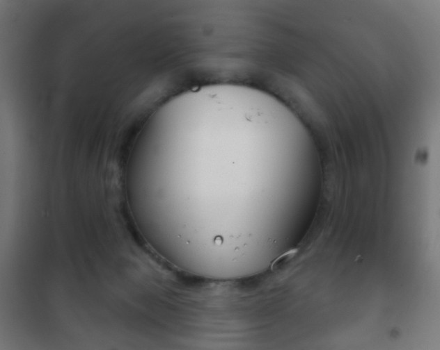 X0000102240077200807250848