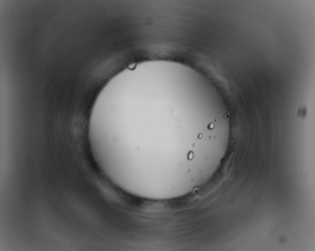 X0000102240079200807250848