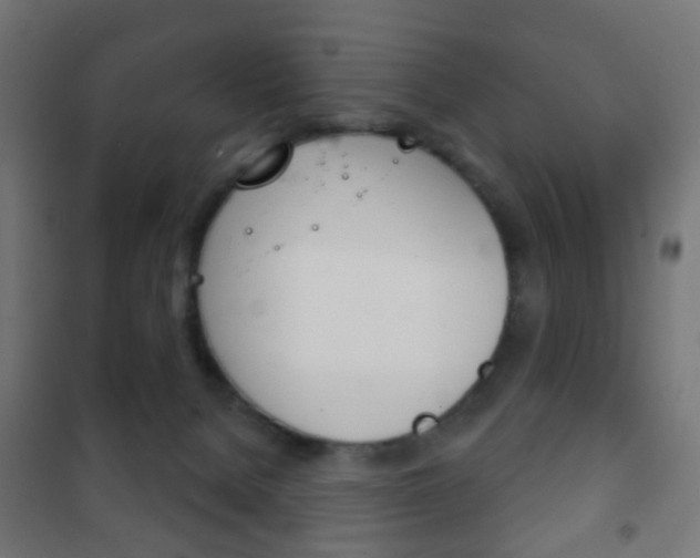 X0000102240080200807250848