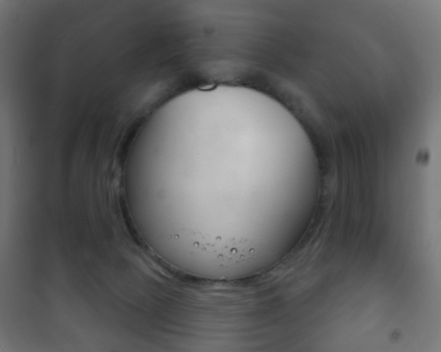 X0000102240081200807250848