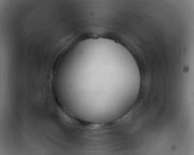 X0000102240082200807250848