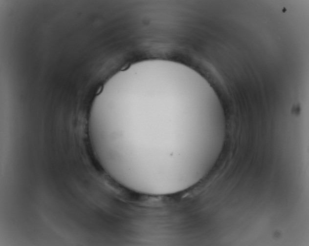 X0000102240083200807250848