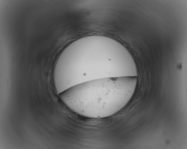 X0000102240084200807250848