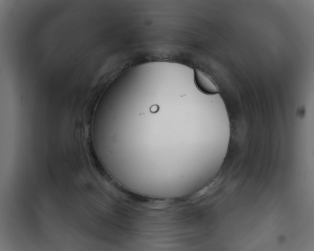 X0000102240086200807250848