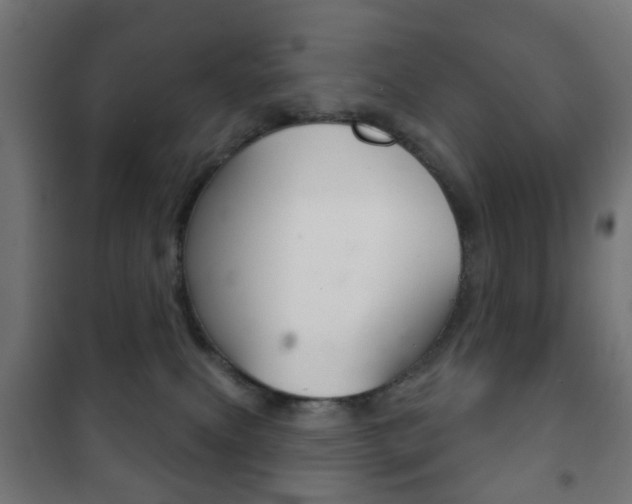 X0000102240087200807250848
