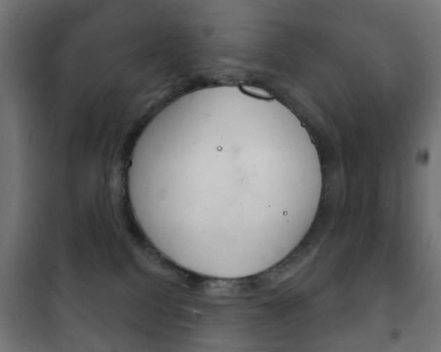 X0000102240088200807250848