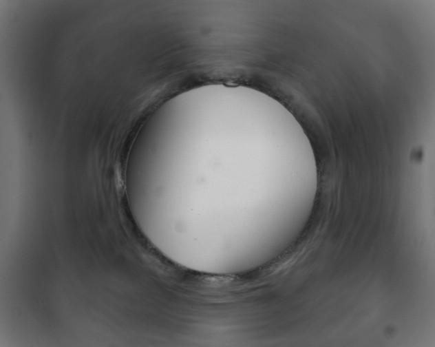 X0000102240089200807250848