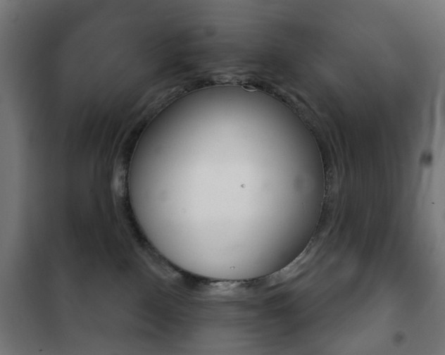 X0000102240090200807250848