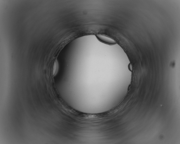 X0000102240091200807250848