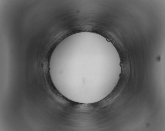X0000102240092200807250848