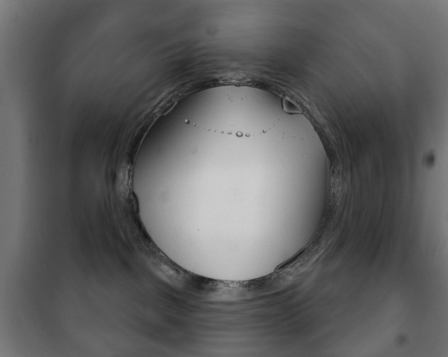 X0000102240093200807250848