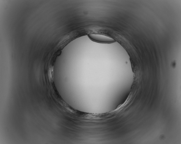 X0000102240094200807250848