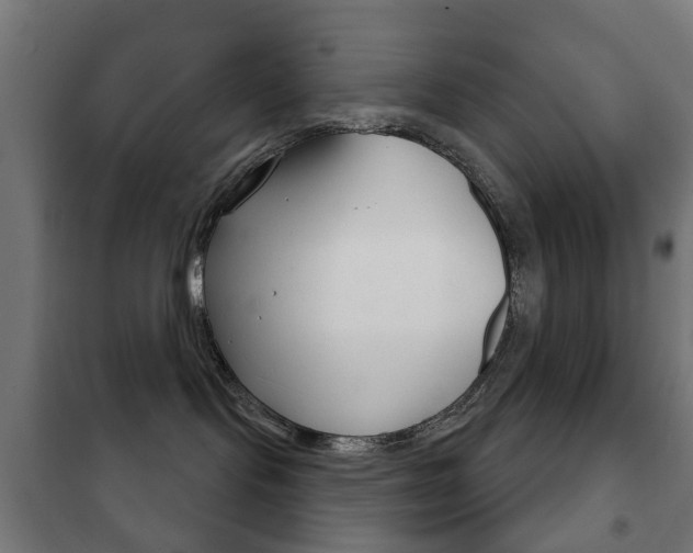 X0000102240095200807250848