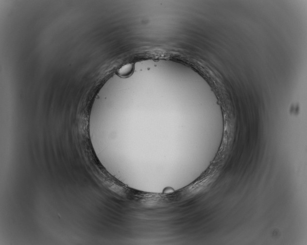 X0000102240096200807250848