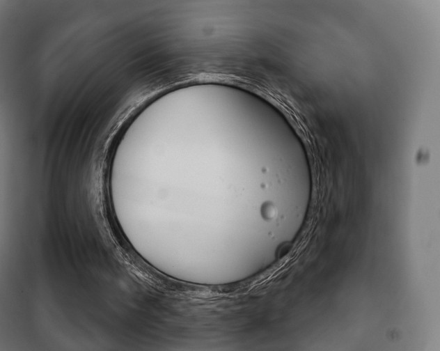 X0000102240098200807250847