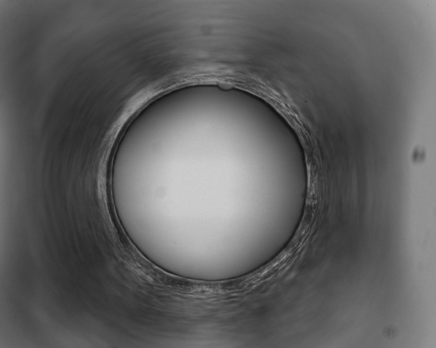 X0000102240099200807250847