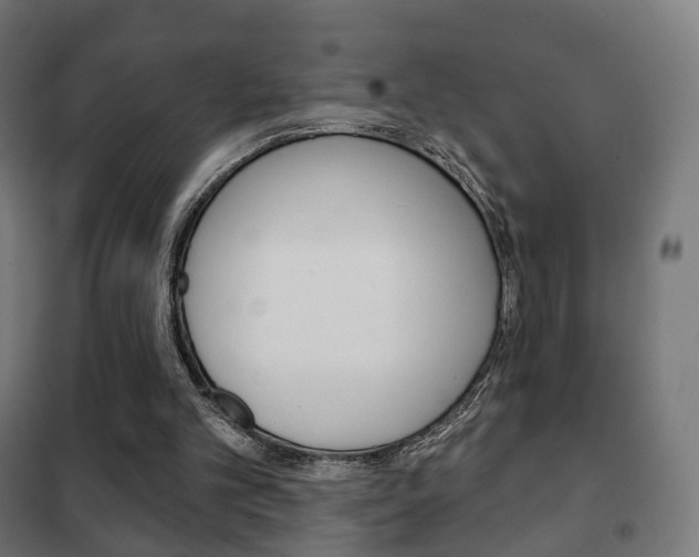 X0000102240101200807250847