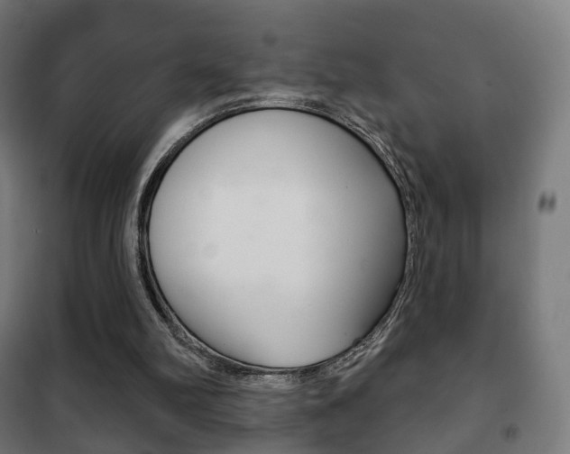 X0000102240102200807250847