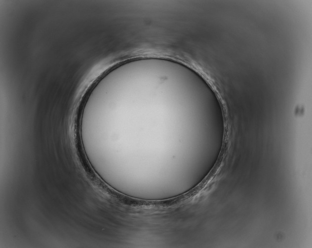 X0000102240103200807250847