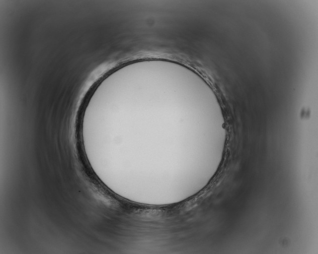 X0000102240104200807250847