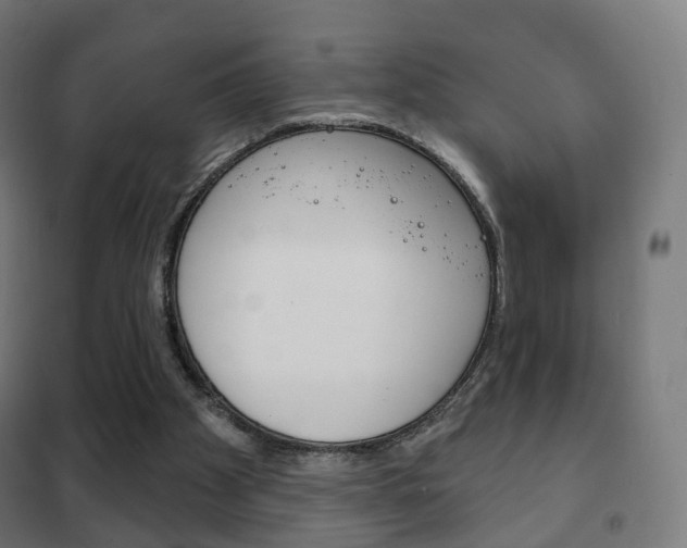 X0000102240105200807250847