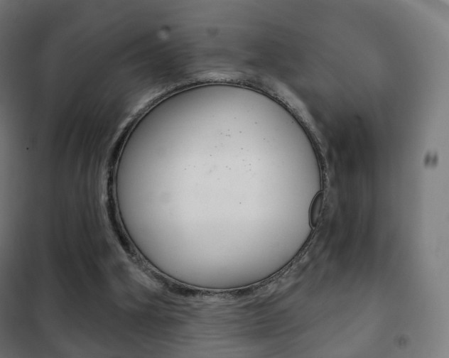 X0000102240106200807250847