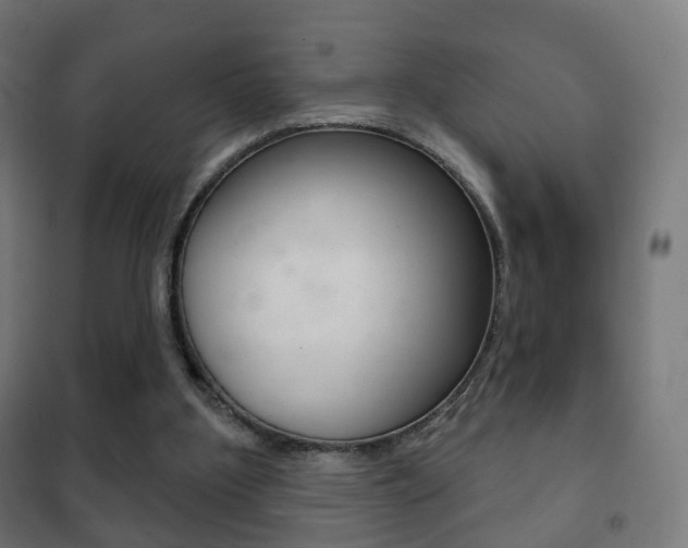 X0000102240107200807250847