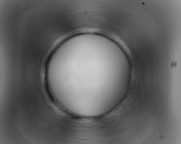 X0000102240110200807250847